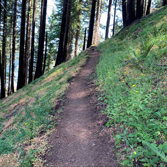 Meet your Posher, Cheryl - Picture 5 of 5